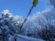 cottage and prayer flags